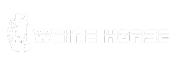 Client Logo 2