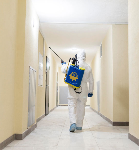 Professional home maintenance team