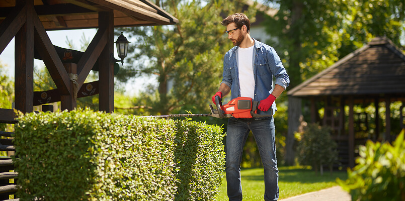 Lawn maintenance property