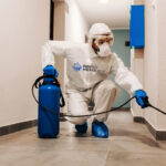 Home pest removal